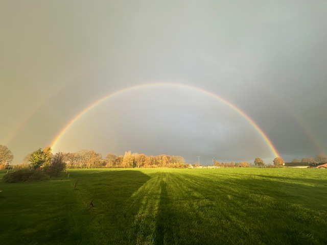 Zen.nl, Zen, meditatie, leren mediteren, foto